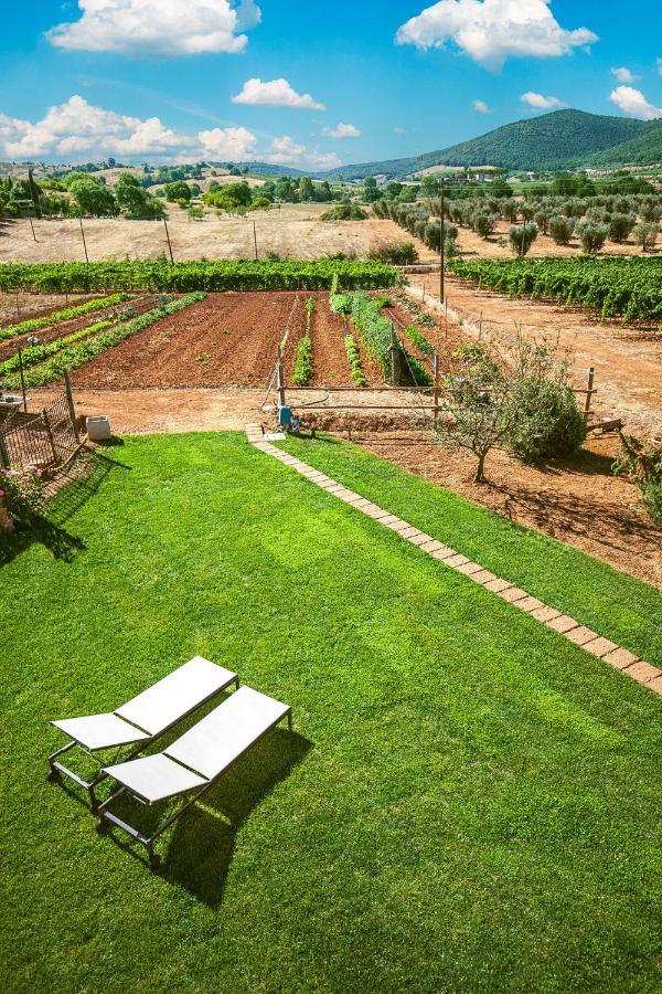 אלברזה Poggiolivi Agriturismo Bio In Maremma מראה חיצוני תמונה