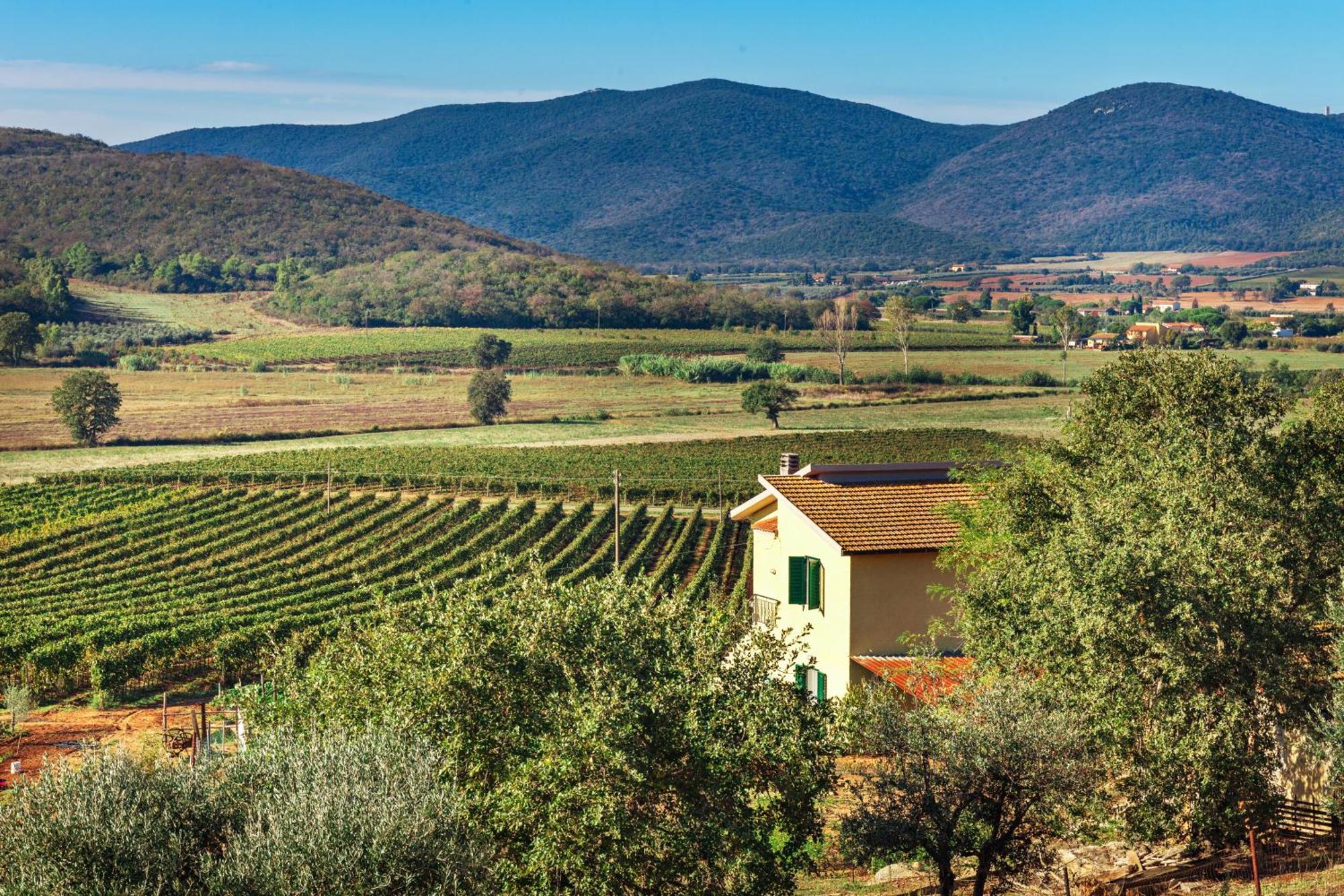 אלברזה Poggiolivi Agriturismo Bio In Maremma חדר תמונה